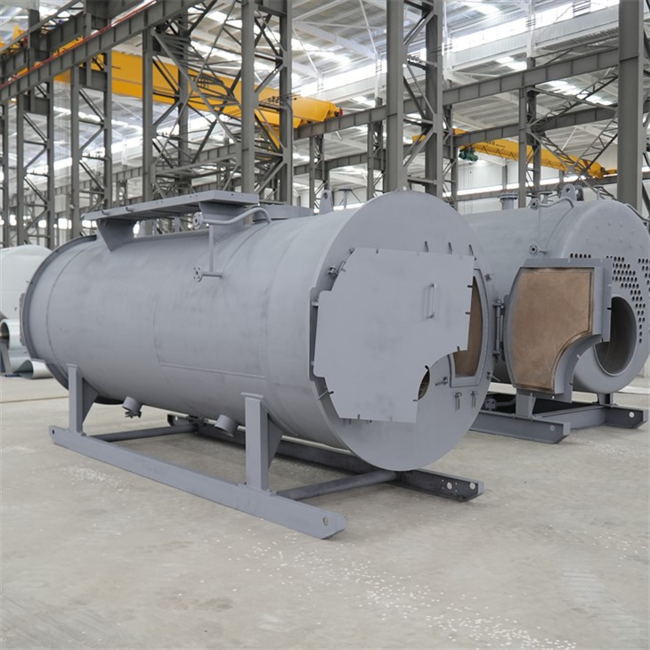Natural Gas Fired Steam Boiler